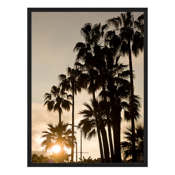 Bild Palms Sunset - Buche Massiv / Acrylglas - Schwarz - 32 x 42 cm