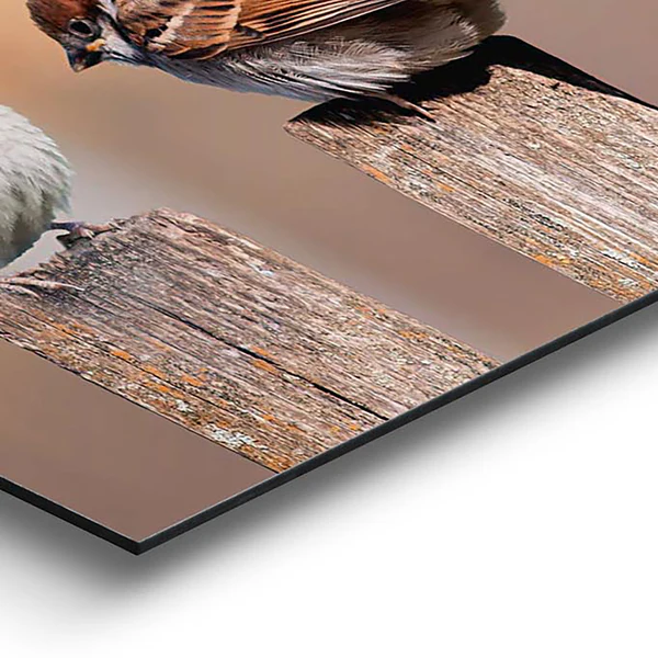 Bild Vogelfamilie - Holzwerkstoff - Mehrfarbig - Image 3