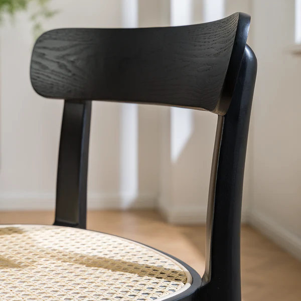 Esszimmerstuhl Darcey (2er-Set) - Polywood & Rattan / Buche massiv - Rattan / Schwarz - Image 4