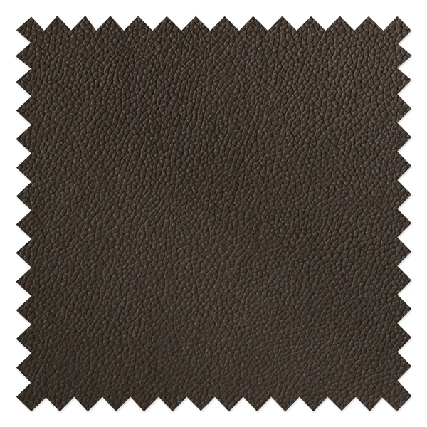 Freischwinger Marco - Echtleder Gyda: Braun - 2er Set - Image 10