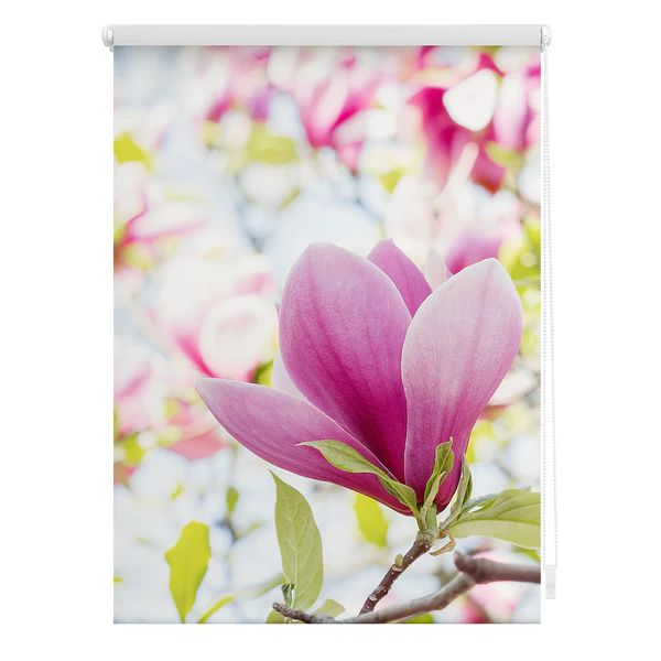 Klemmfix-Rollo Magnolie - Polyester - Rosa - 90 x 150 cm