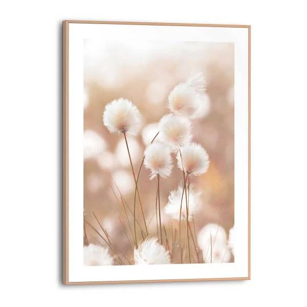 Kunstdruck Cotton Pops - MDF - Beige