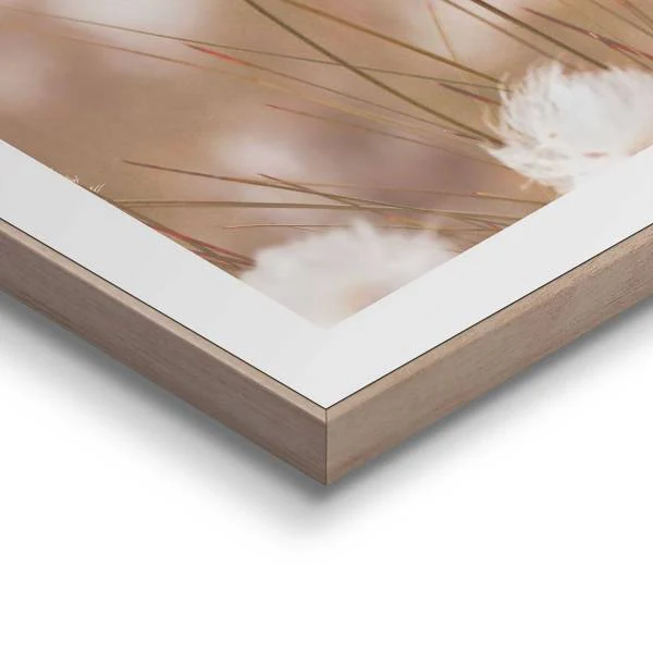 Kunstdruck Cotton Pops - MDF - Beige - Image 4