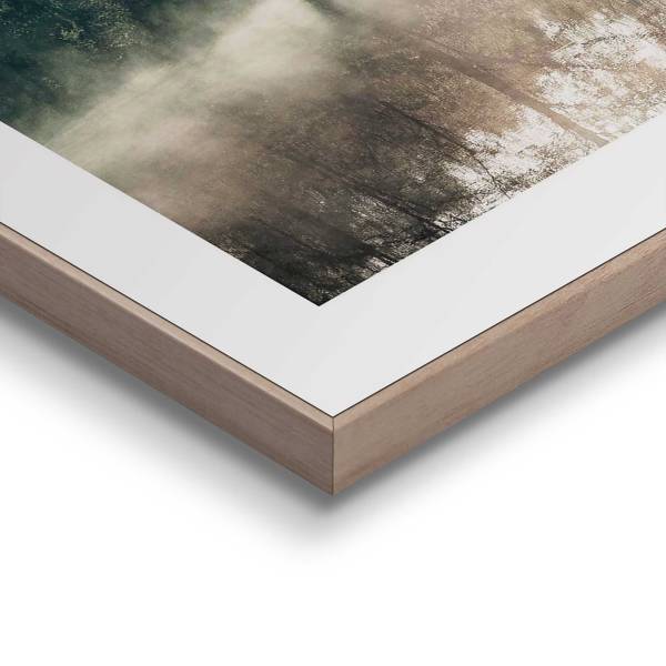 Kunstdruck Sonne durch die Bäume - MDF - Grün / Beige - Image 4