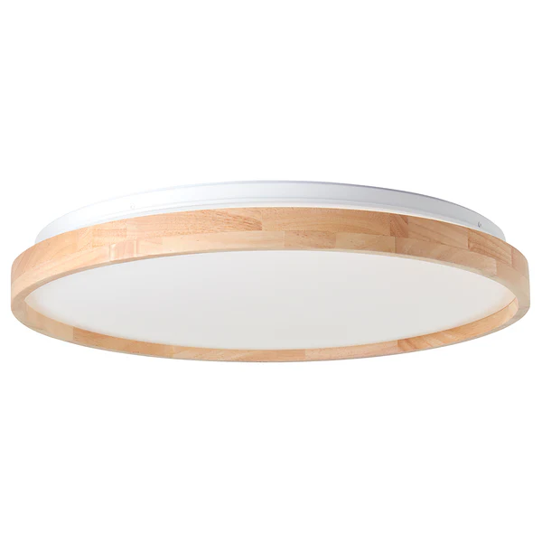LED-Deckenleuchte Alson - Kunststoff / Eisen - 1-flammig
