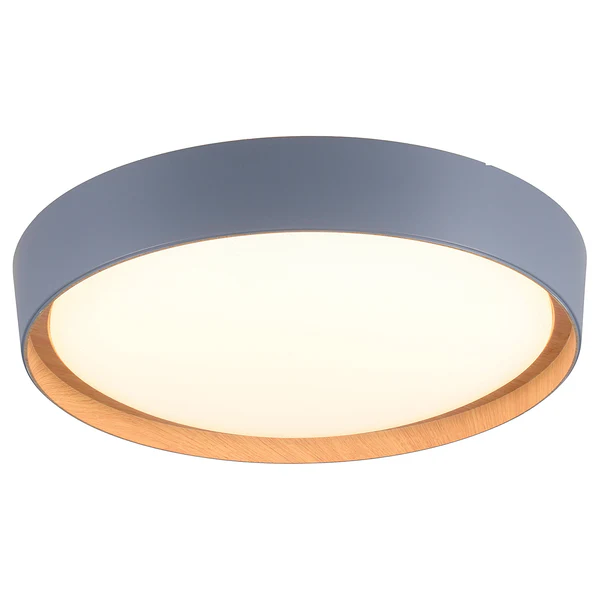 LED-Deckenleuchte Emilia - Polycarbonat - 1-flammig - Grau - Image 5