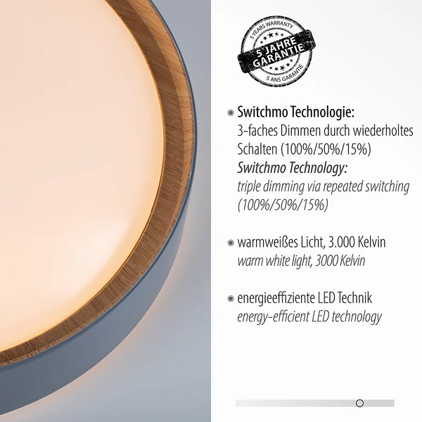 LED-Deckenleuchte Emilia - Polycarbonat - 1-flammig - Grau - Image 6
