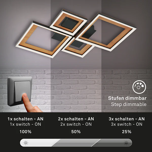 LED-Deckenleuchte Frame XI - Nylon / Eisen - 2-flammig - Image 8