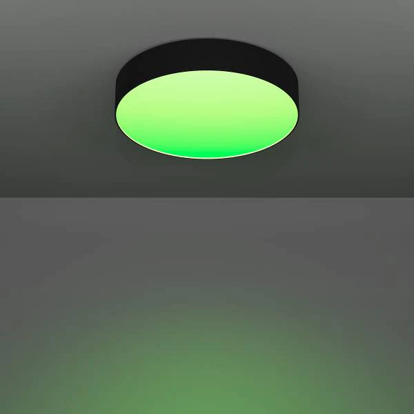 LED-Deckenleuchte Gallizzi-Z - Kunststoff - 1-flammig - Schwarz - Durchmesser: 39 cm - Image 11