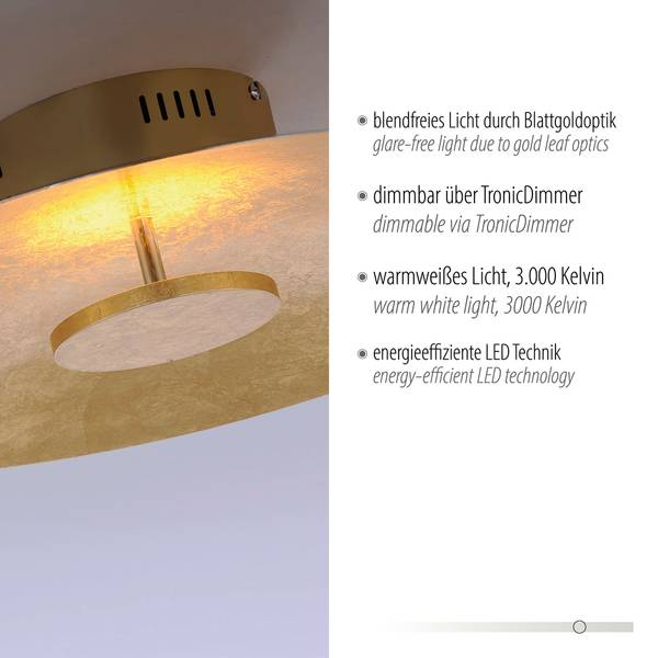 LED-Deckenleuchte Plate Leaf - Gold - Image 6