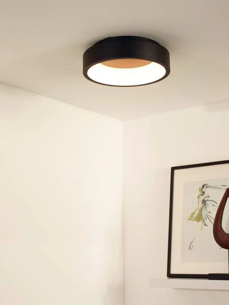 LED Deckenleuchte Talowe - Aluminium - Schwarz - Durchmesser: 30 cm - Image 2