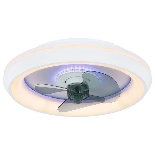 LED-Deckenventilator Joey Typ B - Acrylglas / Eisen - 1-flammig