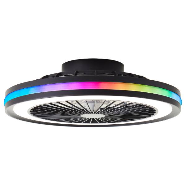 LED-Deckenventilator Palmero - Eisen / Kunststoff - Schwarz - 1-flammig