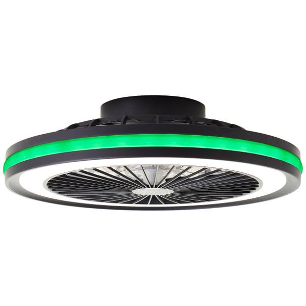 LED-Deckenventilator Palmero - Eisen / Kunststoff - Schwarz - 1-flammig - Image 10