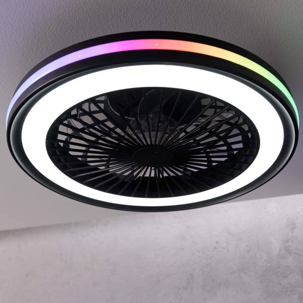 LED-Deckenventilator Palmero - Eisen / Kunststoff - Schwarz - 1-flammig - Image 2