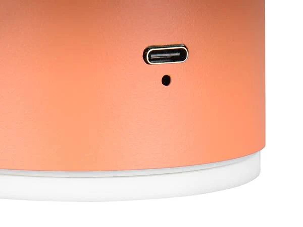 LED-Wandleuchte Davey - Eisen - 1-flammig - Orange - Image 8