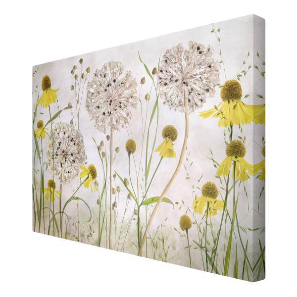 Leinwandbild Allium Helenium - Canvas / Fichte massiv - Beige / Mehrfarbig - 120 x 80 cm - Image 5
