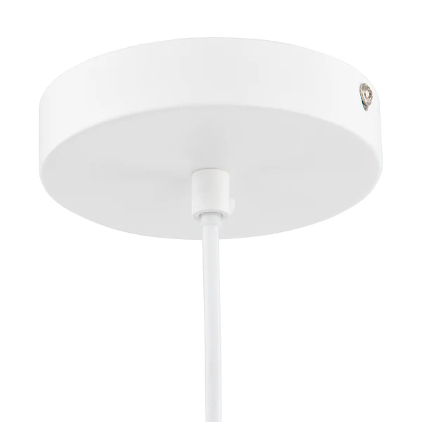 Pendelleuchte Ambria - Rattan / Eisen - 1-flammig - Image 6