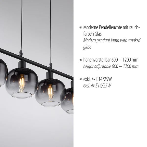 Pendelleuchte Zea Typ B - Rauchglas / Eisen - 4-flammig - Image 8