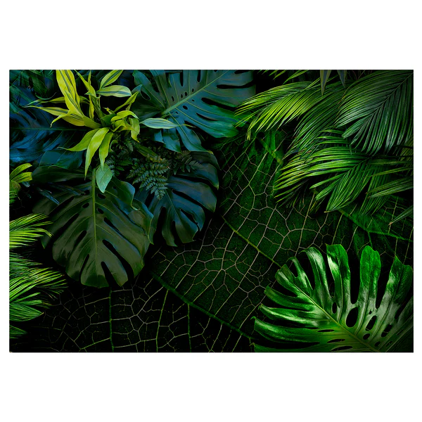 Vliestapete Darl Jungle Grüne Blätter - Vlies - Grün - 400 x 280 cm