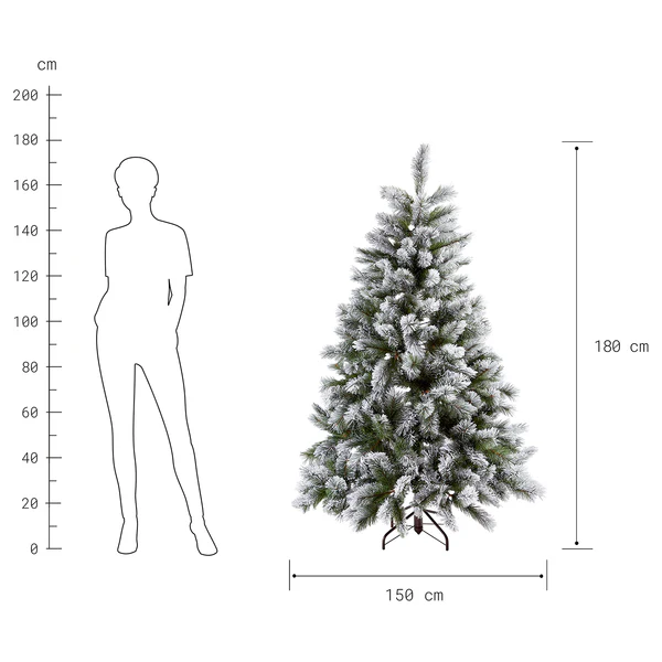 Weihnachtsbaum TREE OF THE MONTH - Höhe: 180 cm - Image 2