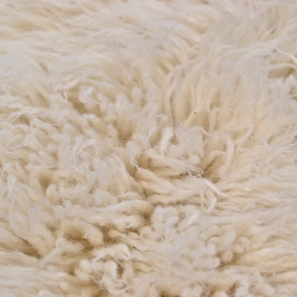 Wollteppich Flokos XXL Rund - Schurwolle - Weiß - Durchmesser: 100 cm - Image 7